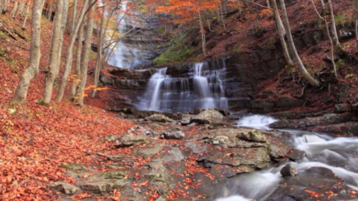 
      Le Cascate del Lavacchiello. Foto Andrea Greci
   