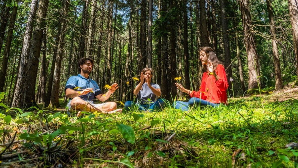 Alpe Cimbra, Forest Bathing