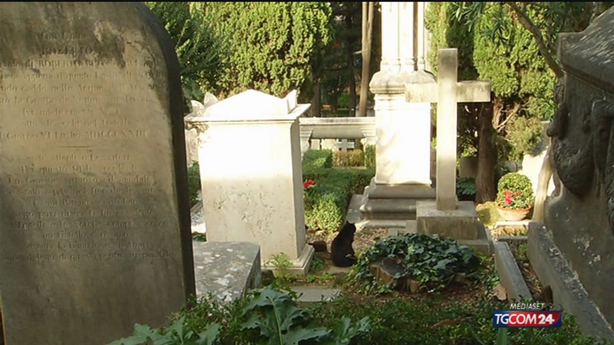 12.30 GATTO NERO CON VADEMECUM