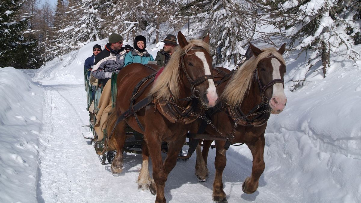 Le passeggiate in slitta in Austria  FOTO @trattlerhof