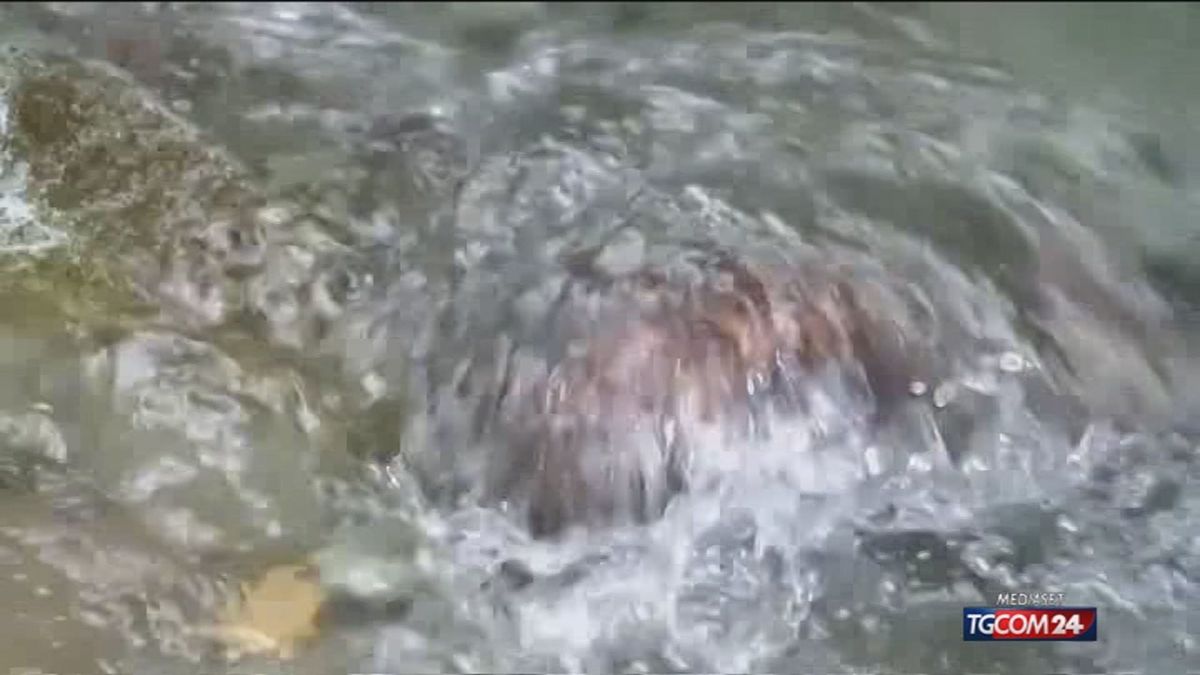 Oggi è la Giornata mondiale dell'acqua