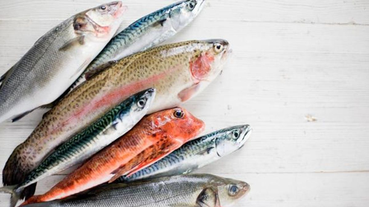 Pesce azzurro, sgombro, salmone, aringa, acciuga e pesce spada contengono grandi quantità di acidi grassi essenziali tra cui i famosi Omega-3