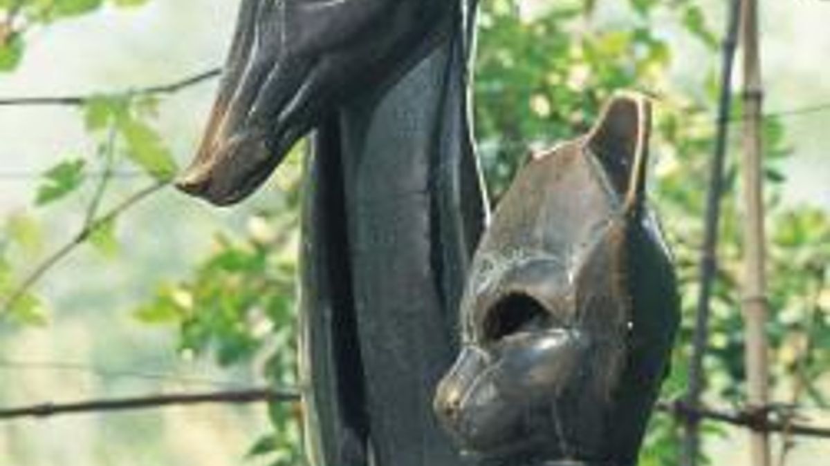 gatto e volpe