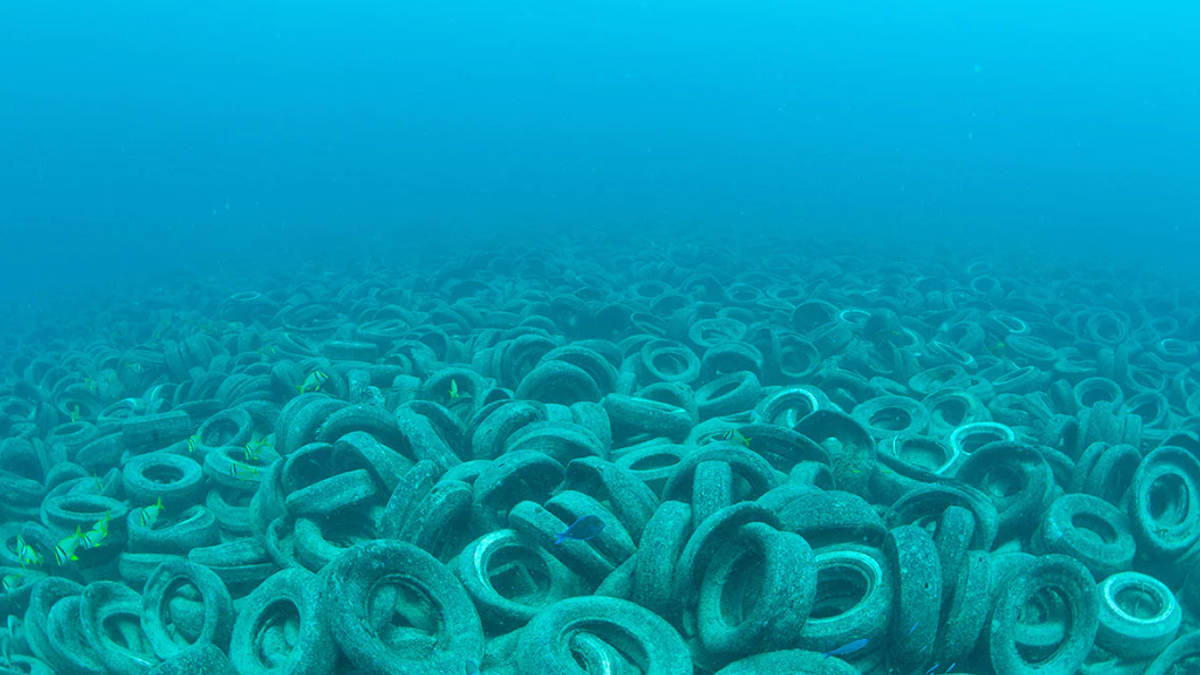 Il lavoro dell'Associazione 4Ocean