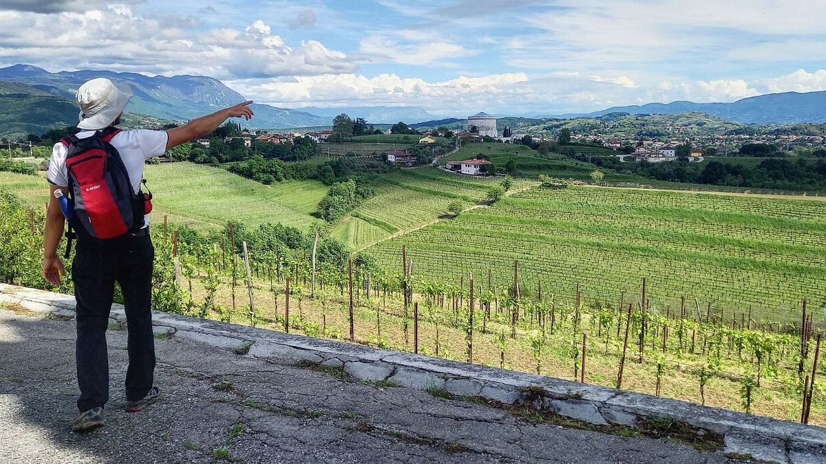 La via delle vigne di confine