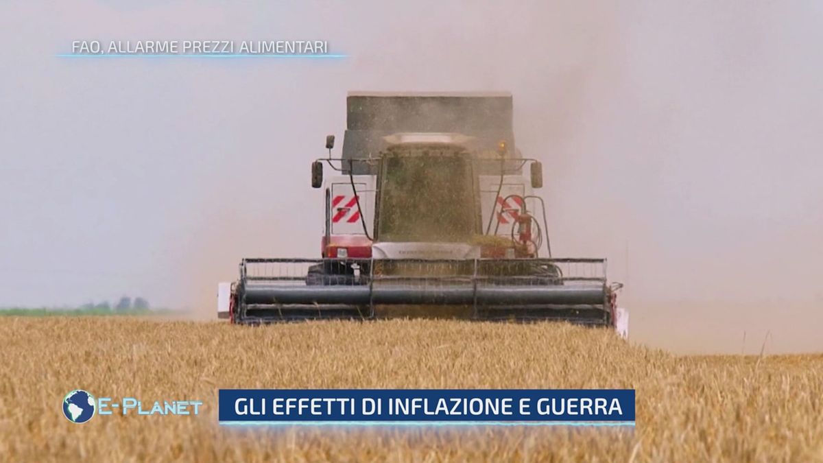 Fao, allarme prezzi alimentari