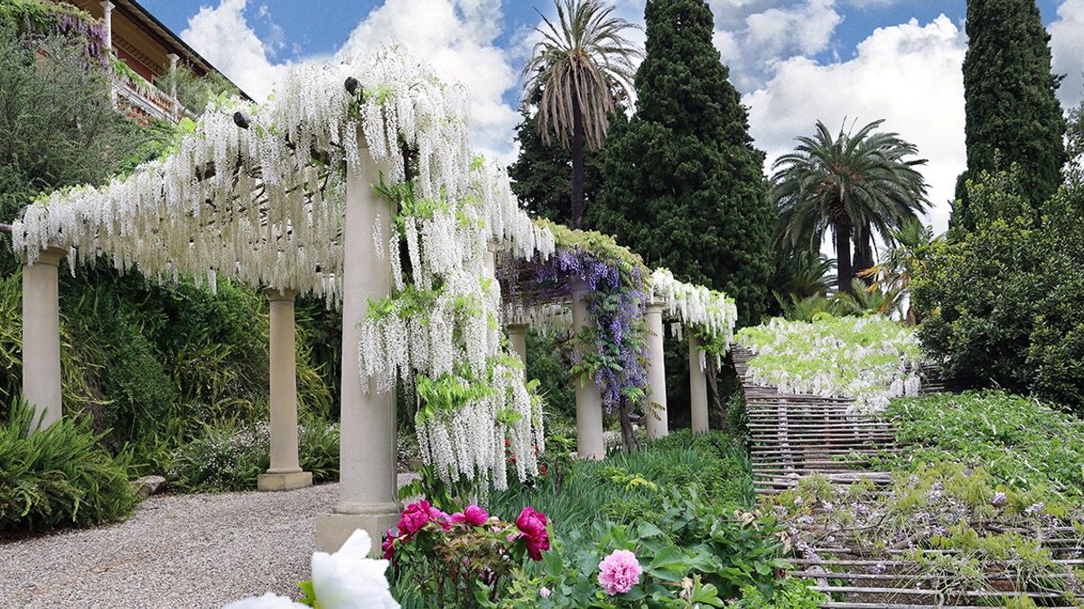 Giardini di Villa della Pergola, ph A. Le Mure