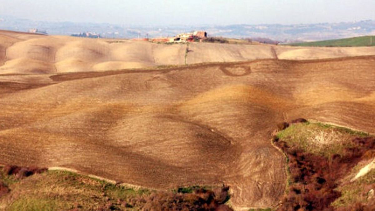 
      Asciano Torre Castello
   
