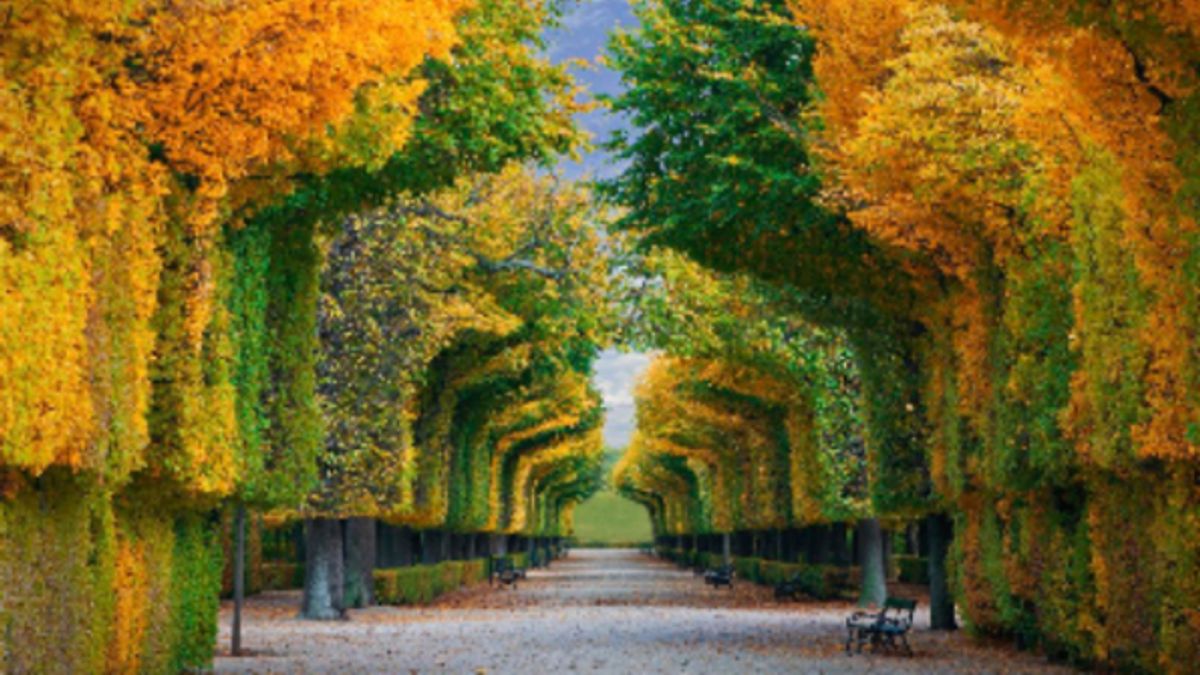 
      Vienna - I giardini di Schonbrunn <br />
   