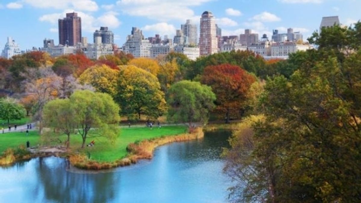 
      New York, autunno al Central Park
   