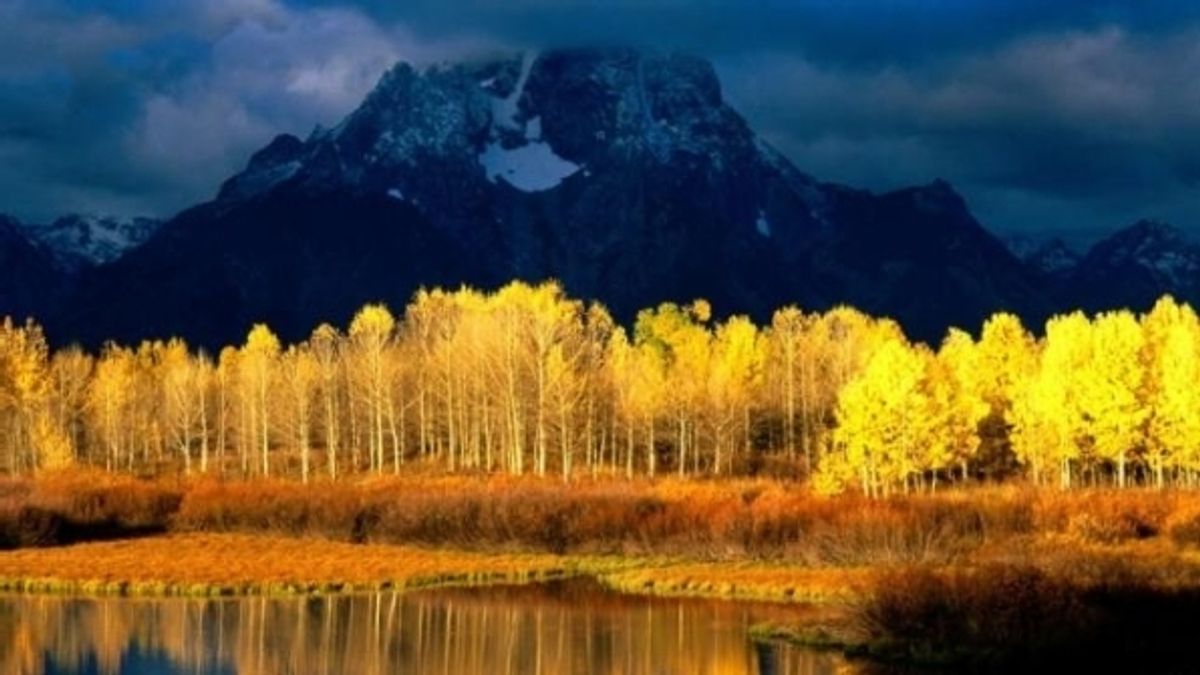 
      Autunno ad Aspen
   