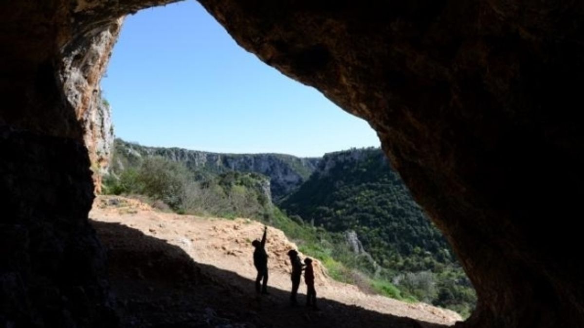 
      La gravina di Laterza
   