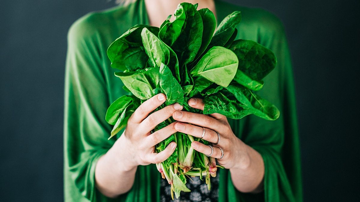 Spinaci: come tutte le verdure a foglia verde contiene molta acqua e numerosi sali minerali preziosi 