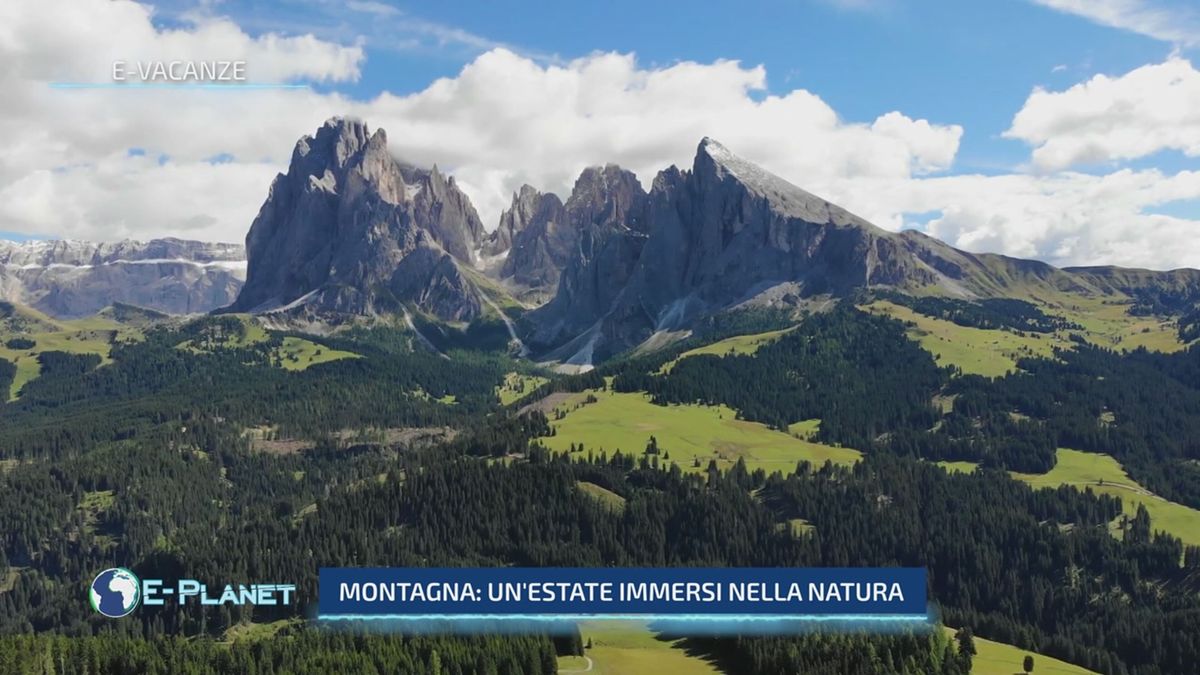 Montagna: un'estate immersi nella natura