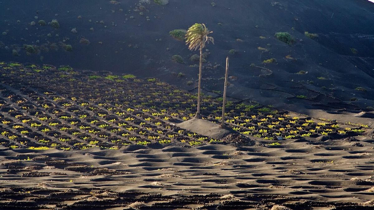 IL PIÙ EROICO: La Geria, Lanzarote, Isole Canarie 