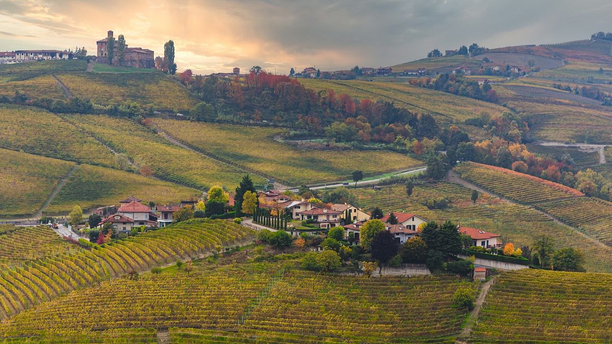 Langhe