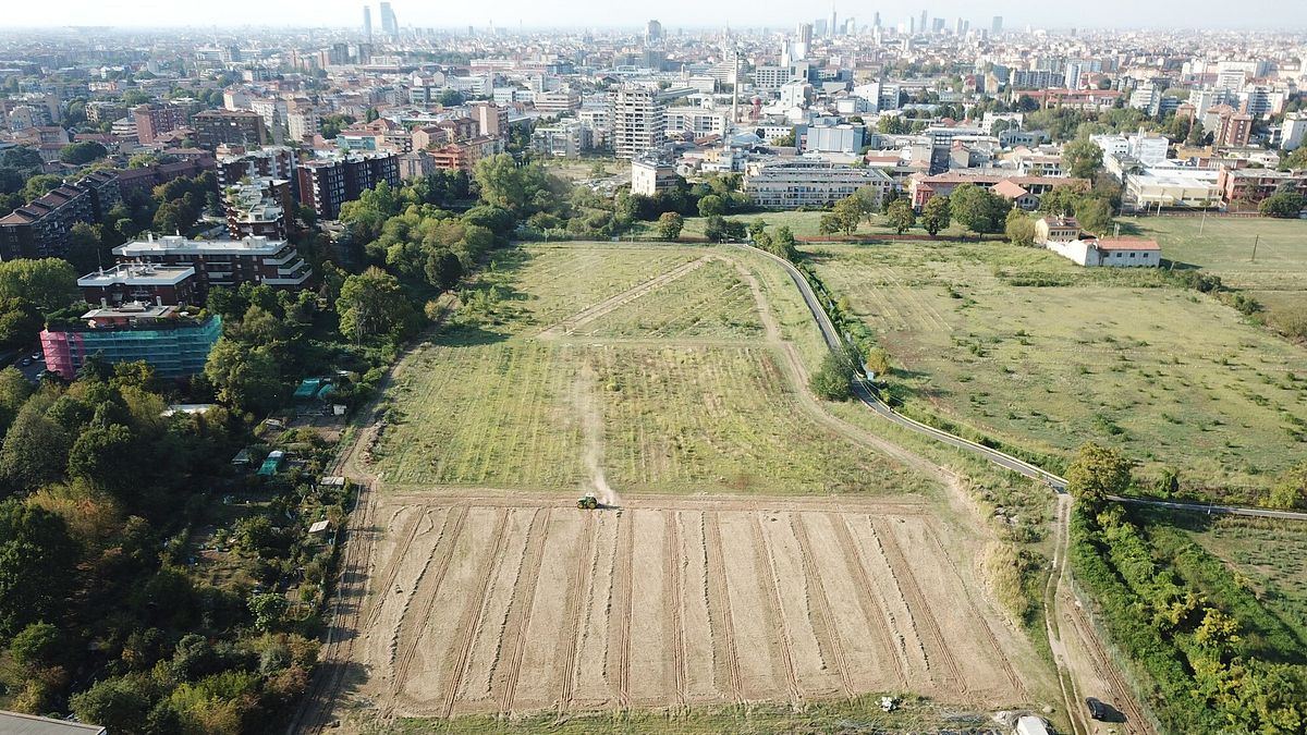 Parco della Vettabbia (MI)