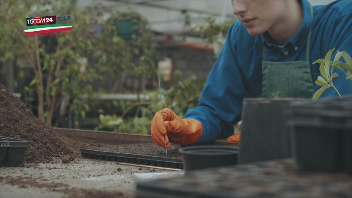 "I giovani che restano a lavorare al Sud devono essere sostenuti"