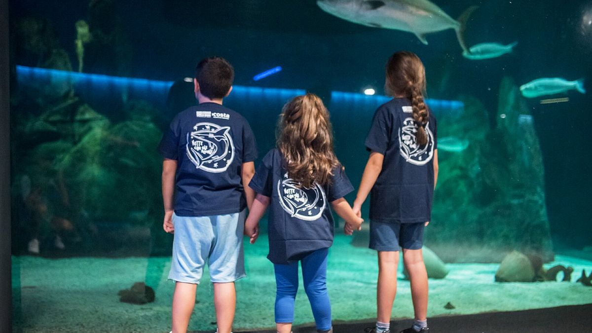 Acquario di Genova: l'esperienza "Una notte con gli squali"