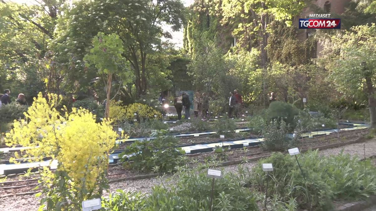 L'Orto Botanico di Brere diventa un gioco...