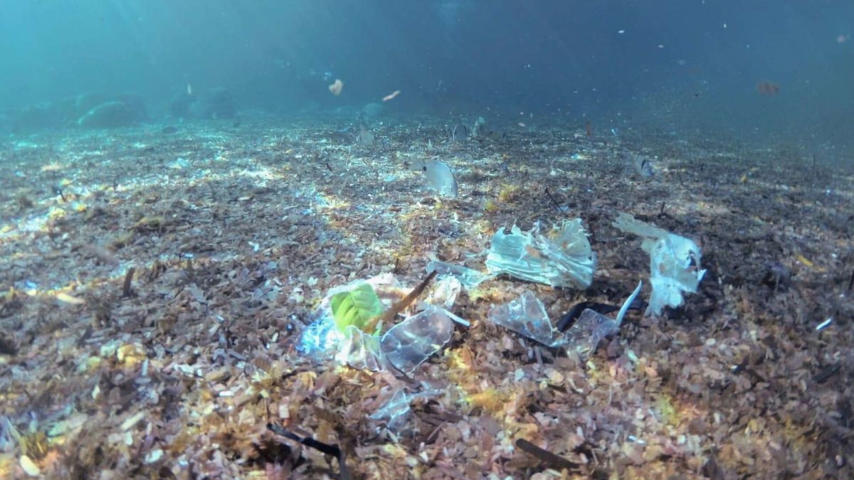  Entro il 2040 la quantità di plastica in mare triplicherà