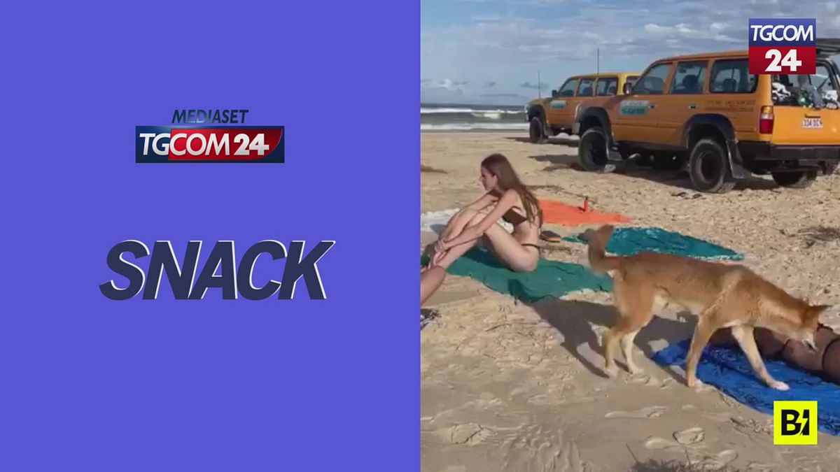 Donna morsa da un cane mentre prende il sole in spiaggia