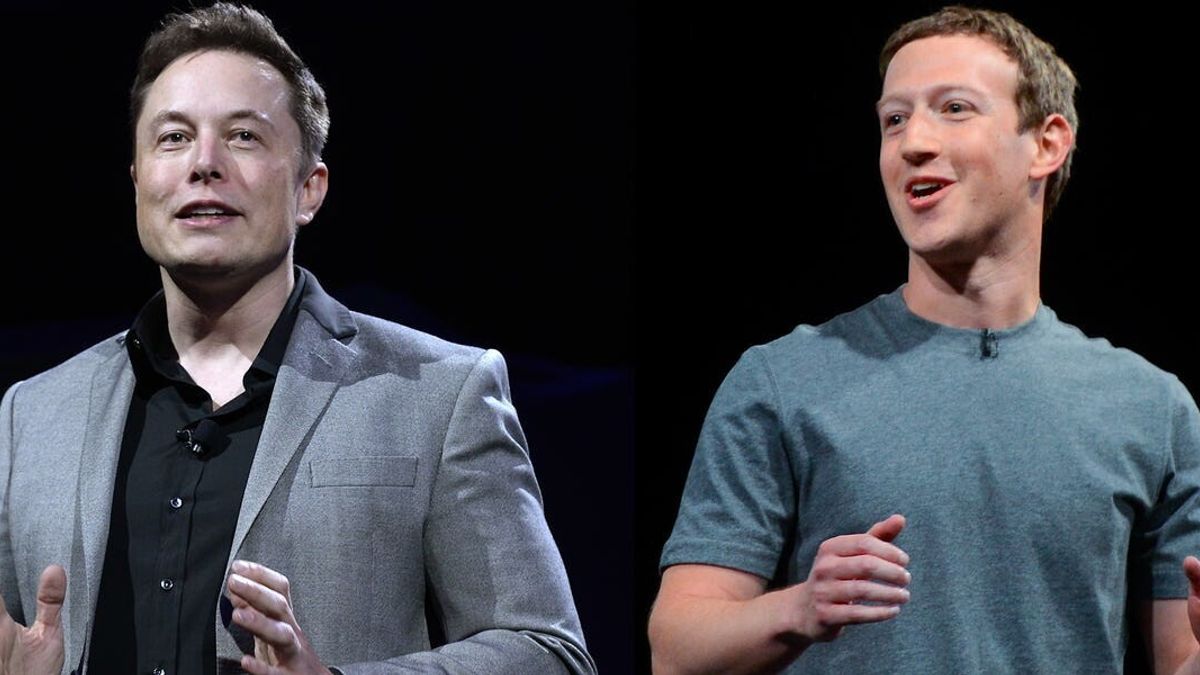 Musk Zuckerberg