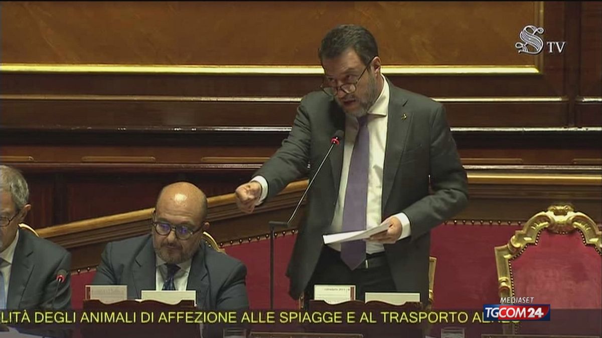 Salvini: "Sospensione o revoca patente a chi abbandona animali"