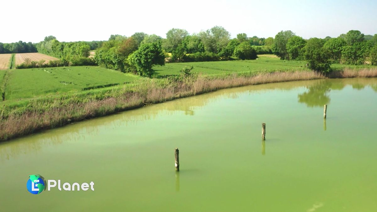 Uniti per l'ambiente