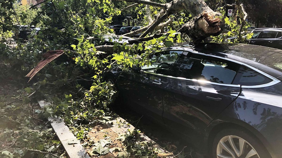 Maltempo a Milano, la devastazione in viale Argonne 