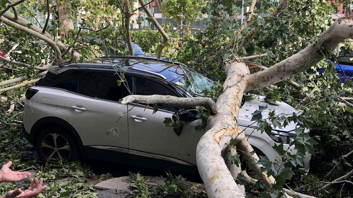 Maltempo a Milano, la devastazione in viale Argonne 