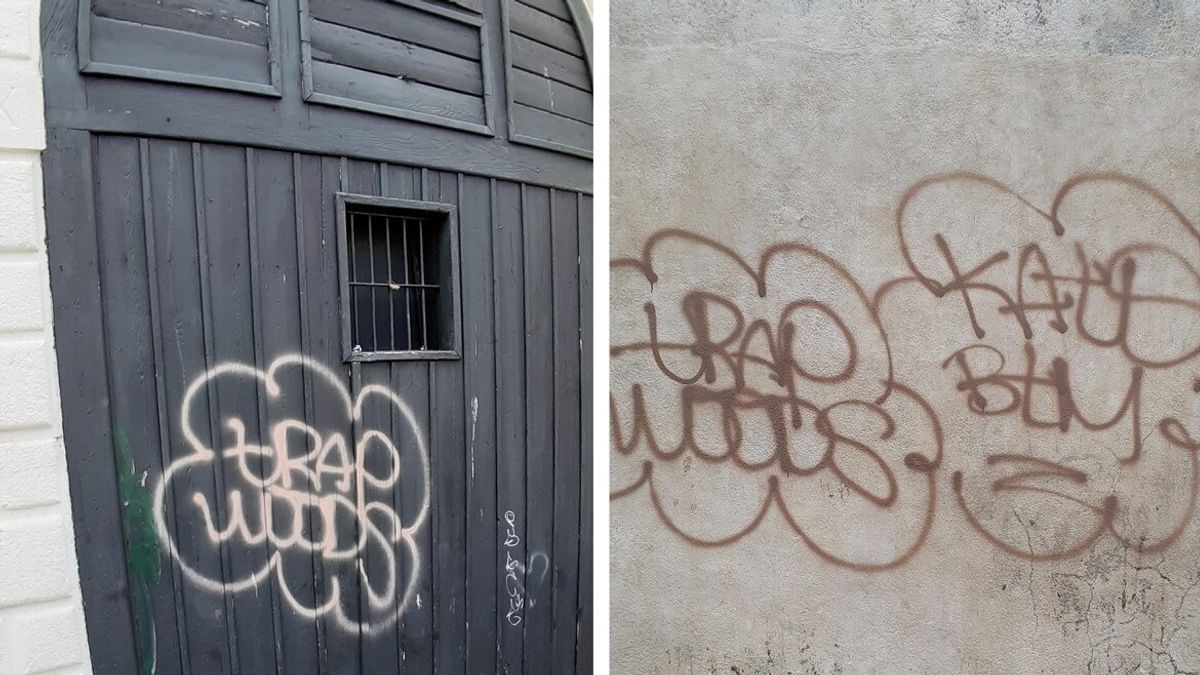 Immagini provenienti dalla pagina Facebook "Io scelgo Venezia senza graffiti"