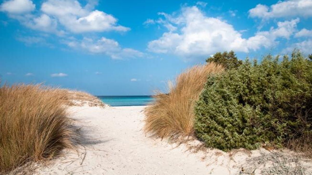 Sardegna, dune di sabbia della Spiaggia Pevero