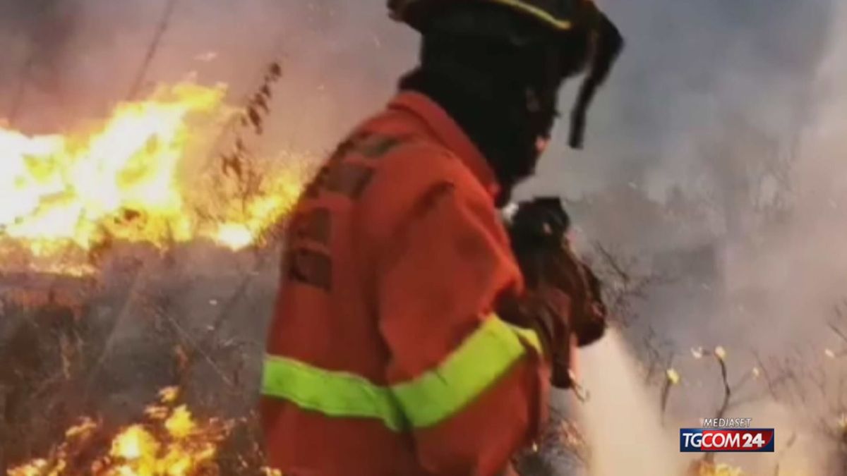 Il caldo "spinge" gli incendi in Europa, in Italia picco di interventi dei pompieri