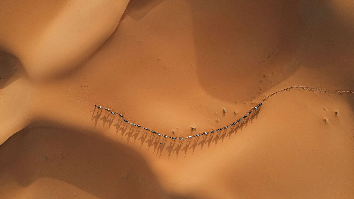 La carovana nel deserto