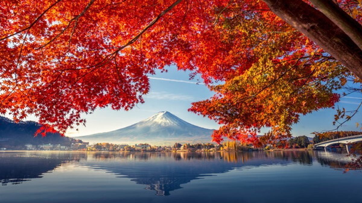 Il Monte Fuji 