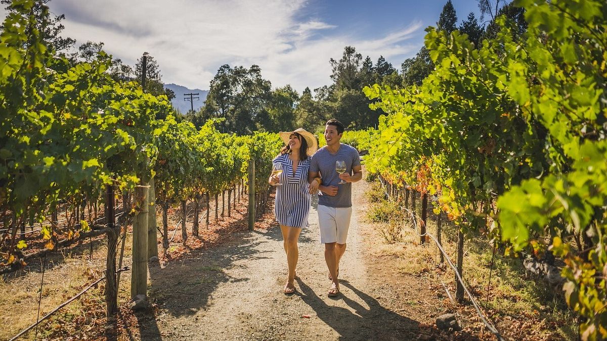 VC wineries