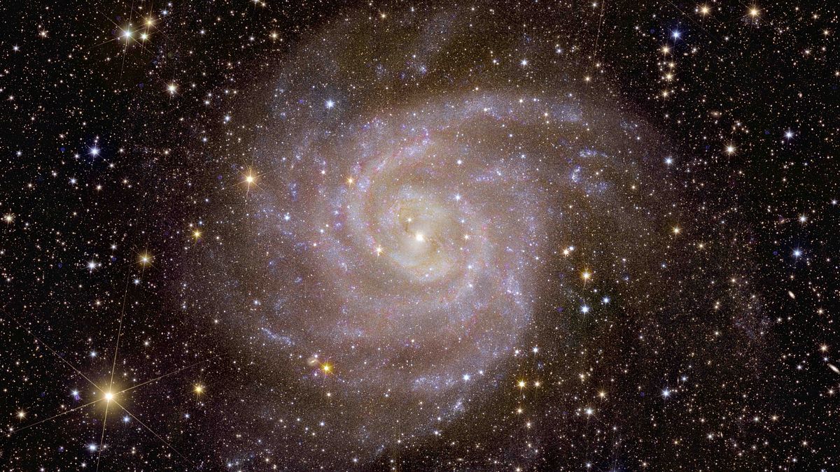  Galassia a spirale IC 342