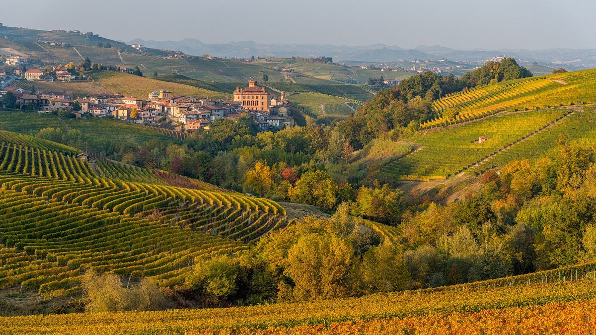 Barolo