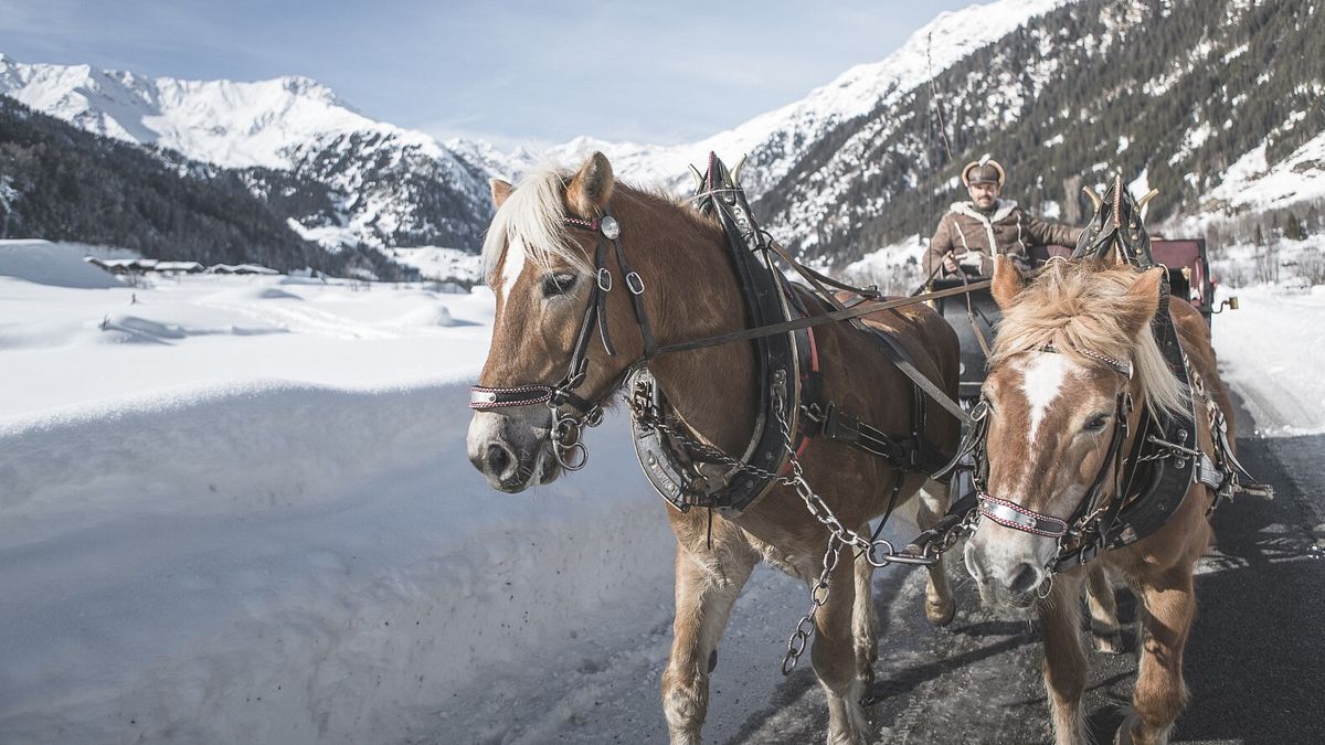 Gita in carrozza, Val Ridanna, ph Manuel Kottersteger