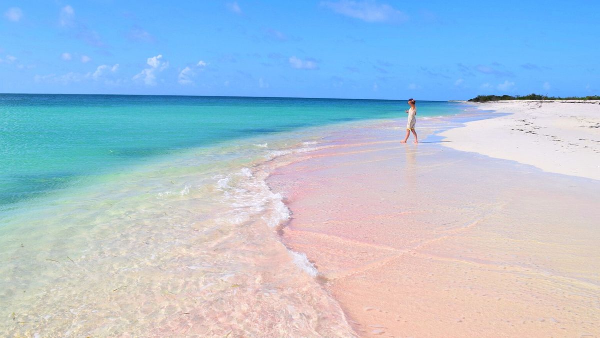 Barbuda Pink Sand, Cedar Tree Point