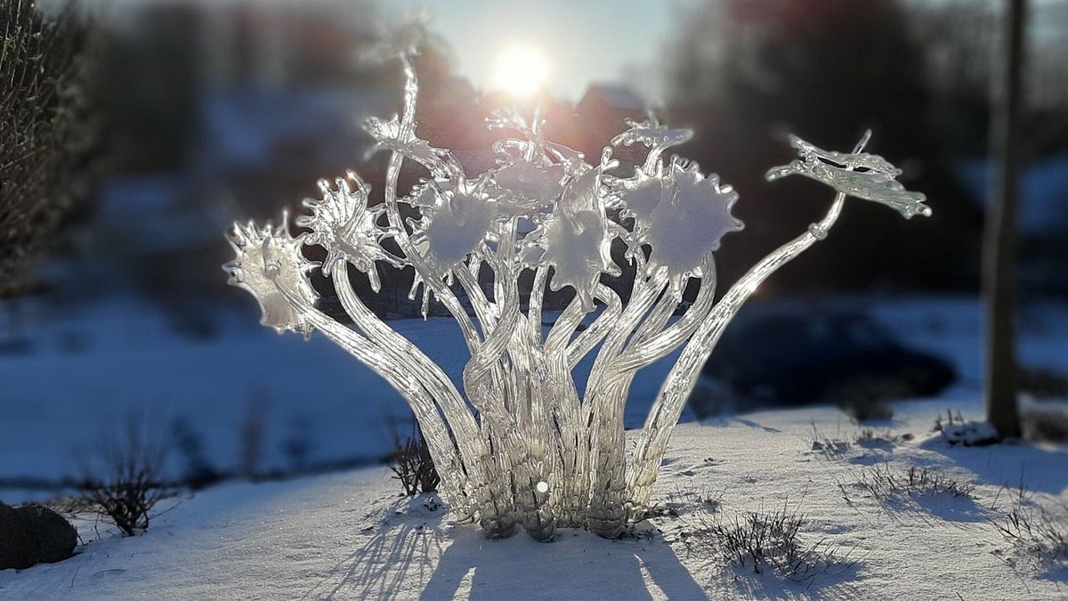 Pačinek Glass Garden