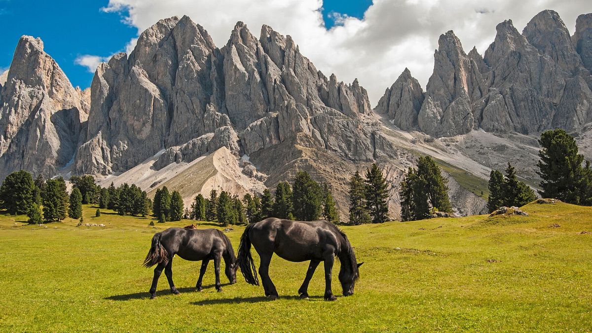 Un modo originale per esplorare le Dolomiti è a cavallo