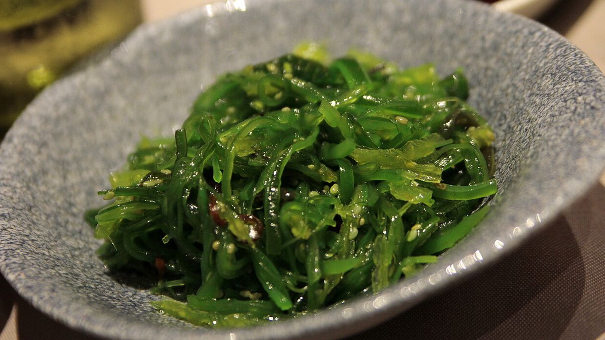 L'alga Wakame
