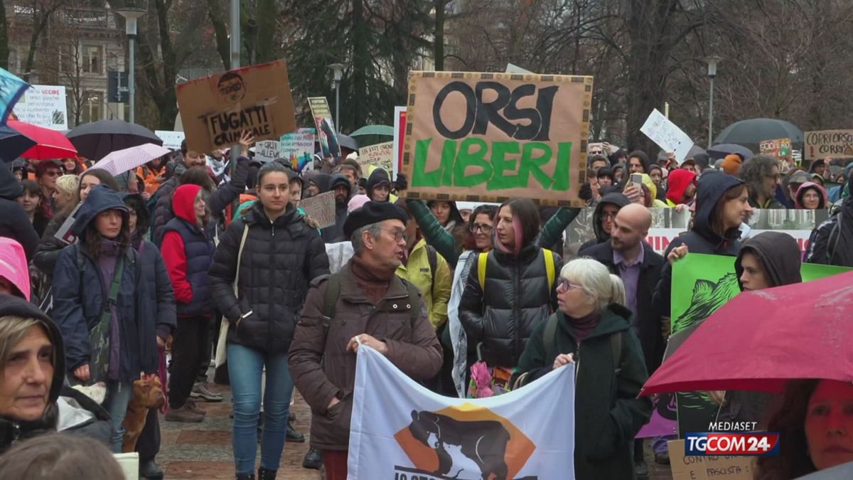 18.00 MANIFESTAZIONE PER ORSI SRV