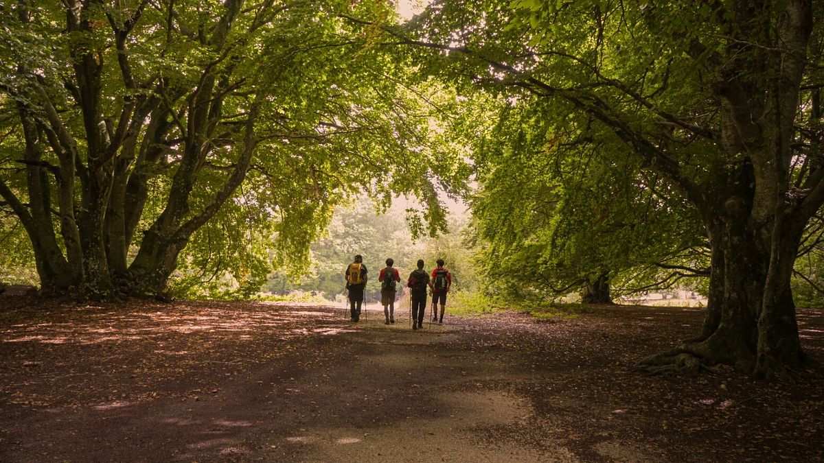 Marche, Cammino dei Forti - ph Cammini d'Italia