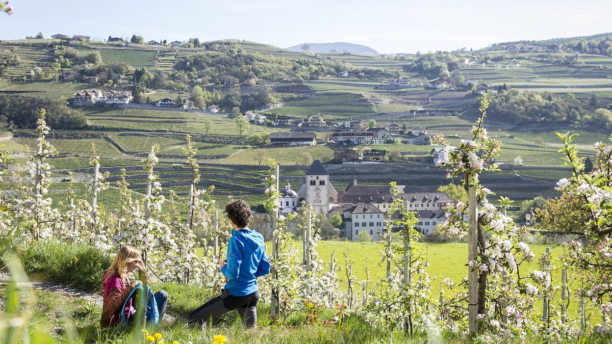 Primavera di Novacella - ph Alex Filz