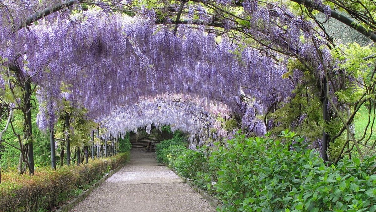Firenze, Giardino Bardini