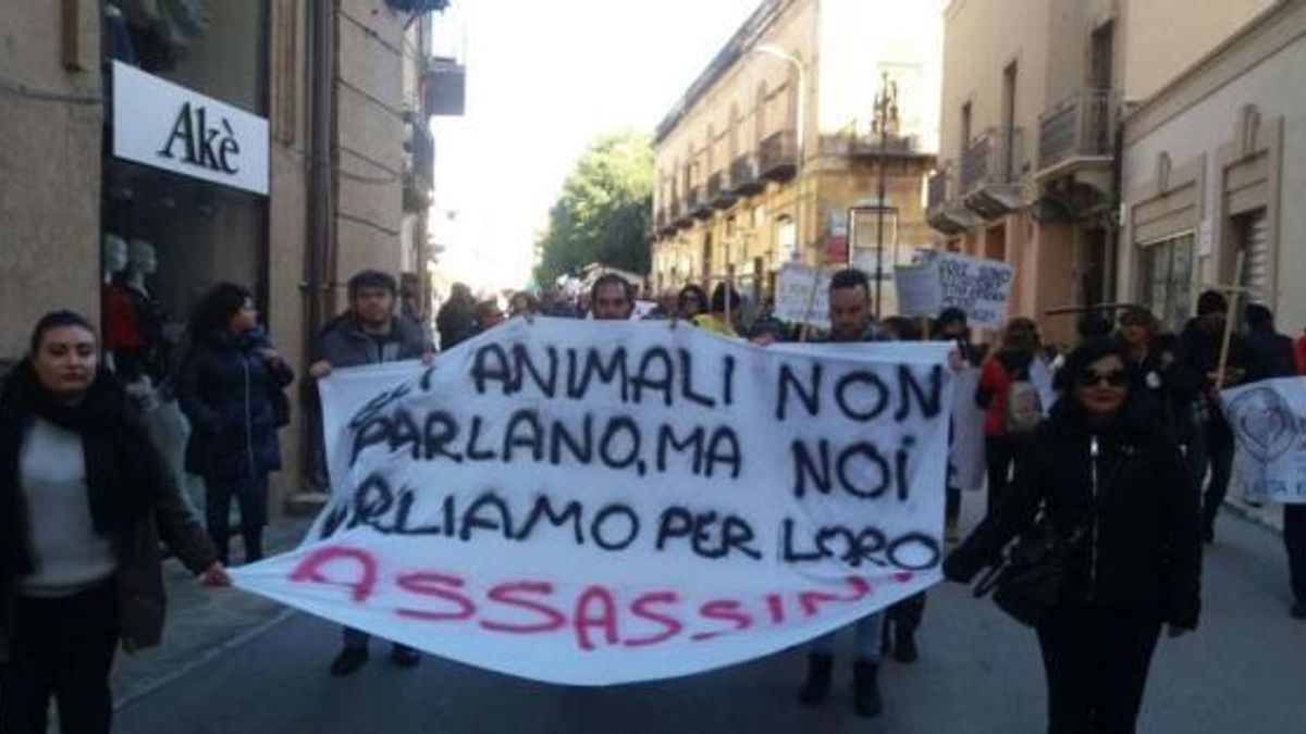 Foto gentilmente concessa dal sito risoluto.it