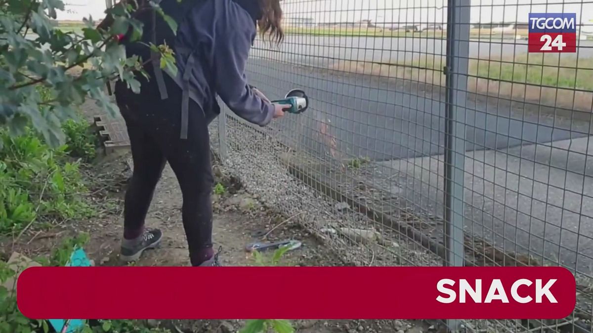 Blitz degli ambientalisti a Stansted: imbrattato il jet privato di Taylor Swift